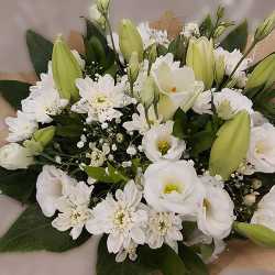 זר שובל לבן