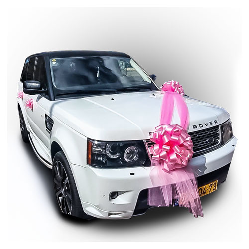 קישוט רכב אריזונה